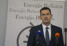 Vlada priprema teren za smenu v.d. direktora: Ministarka Đedović iznela niz kritika na račun nove uprave EPS-a