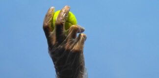 skandal-trese-svet-tenisa:-italijanu-suspenzija-od-pet-godina