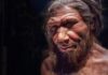 torin-–-poslednji-kralj-neandertalaca:-pronadjen-neandertalac-iz-druge-loze