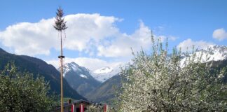 sahranjena-majka-zeljka-mitrovica!-stotine-ljudi,-crkveni-hor-i-utuceni-vlasnik-pinka-uputili-poslednji-pozdrav-(foto/video)