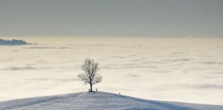 jedini-poznati-par-na-balkanu-koji-je-priznao-da-je-u-otvorenom-braku:-evo-kako-to-funkcionise