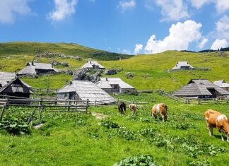 velika-sansa-generacije:-zenska-fudbalska-reprezentacija-srbije-ima-istorijsku-priliku