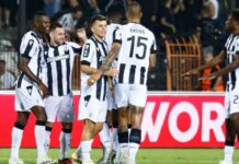 sjajne-vesti-za-„delije“:-paok-i-zivkovic-obradovali-crvenu-zvezdu