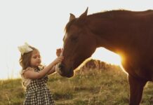 „andjelo-rankovic-je-najgori-teodorin-decko“:-mama-dzehva-vise-nece-da-cuti!-evo-sta-misli-o-novom-zetu-kosarkasu