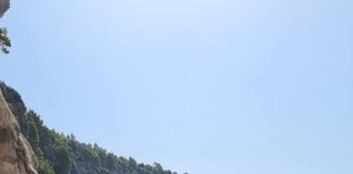 pasjaca-–-srpski-twin-peaks?