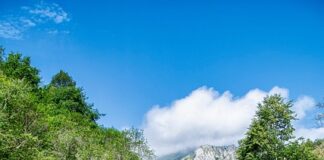 dobra-uvertira-partizana-pred-barselonu:-crno-beli-ubedljivi-protiv-fmp-a
