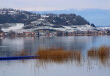 „morate-da-budete-malo-ludi“:-kako-dostici-prvo-mesto-na-svetu-po-borisu-bekeru