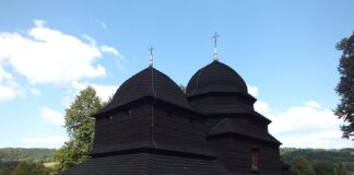 umro-muz-cece-bojkovic:-ne-znam-ni-sama-kako-se-sve-to-dogodilo…