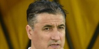 crvena-zvezda-i-pancev-za-ugrozene-u-kocevu:-ideja-koja-je-odusevila-region