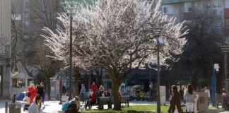 kraj-zime-doslo-je-prolece:-vremenska-prognoza-za-cetvrtak,-20.-mart