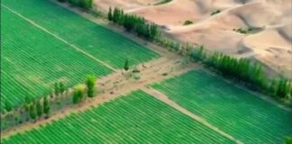 nauka-cini-cuda:-kina-„ozelenila“-desetine-hiljada-kvadratnih-kilometara-pustinje-gobi-(video)