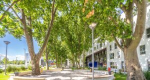 afi-city-zmaj:-poslovni-park-koji-podstice-rast-i-inovacije-–-nedeljnik