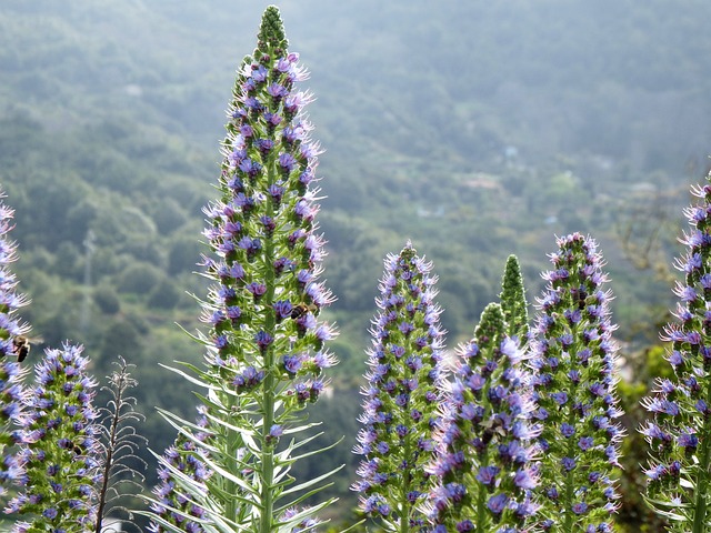 lepa-brena-slomljena-zbog-bratovljeve-sudbine:-ja-sam-kriva