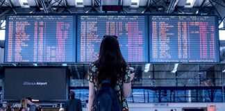fight-or-flight-–-bullet-train-za-siromasne