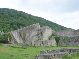 darka-lazica-izjeda-osecaj-krivice:-“izgubio-sam-kontrolu,-tu-nastaje-pakao“