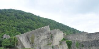 darka-lazica-izjeda-osecaj-krivice:-“izgubio-sam-kontrolu,-tu-nastaje-pakao“