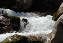 gola-zadnjica-i-sin-na-ledjima-–-pevacica-sokirala-skandaloznom-fotografijom-sa-plaze
