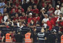 da-li-je-trebalo-prekinuti-mec-albanija-srbija?-oglasio-se-sudijski-ekspert-i-otkrio-da-li-je-bilo-elemenata-za-to