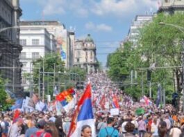 “9-i-po-nedelja”:-tekst-profesorke-fdu-koji-ukazuje-na-svu-neophodnost-sutrasnjeg-protesta-ispred-vlade-srbije-–-nedeljnik