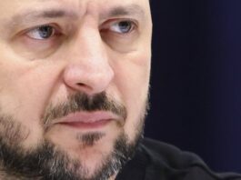 propustio-svoju-sansu:-zelenski-dve-nedelje-cutao,-a-onda…