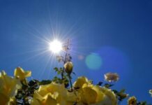 vreme-danas:-suncano-i-vedro-–-nedeljnik