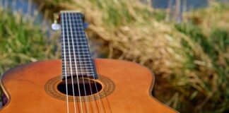 glas-mu-je-otisao,-gitara-teska,-a-nastupi-san:-potresna-ispovest-milica-vukasinovica-–-„ni-brega-nije-ispao-covek“