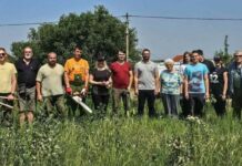 prva-akcija-vrsackih-gorana:-volonteri-orezivali-drvored-na-sredistanskom-putu