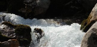 (foto)-zadnjica-puna-celulita:-milena-kacavenda-se-utegla-u-kupaci,-preliva-na-sve-strane