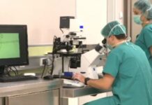 borba-za-bebe:-za-vantelesnu-oplodnju-iz-gradske-kase-kragujevca-izdvojeno-3,5-milona-dinara