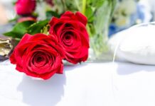 kakva-romantika:-ona-je-inspirirala-kicu-slabinca-da-napise-i-otpjeva-“zbog-jedne-divne-crne-zene”!
