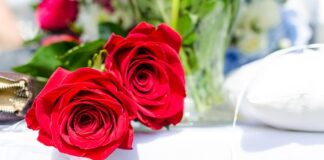 kakva-romantika:-ona-je-inspirirala-kicu-slabinca-da-napise-i-otpjeva-“zbog-jedne-divne-crne-zene”!