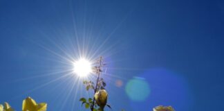 vreme-danas:-akon-svezeg-jutra,-suncan-i-topao-dan-–-nedeljnik