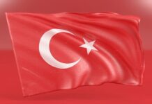 novi-pazar-na-nogama:-uefa-donela-odluku,-poznato-idu-li-pazarci-u-evropu