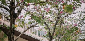 studenti-porucili-vucicu:-kad-si-toliko-siguran-da-ces-pobediti,-raspisi-izbore-kukavice
