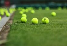 atp-hertogenbos:-autsajder-se-neocekivano-okitio-titulom