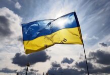 zgrozili-su-mnoge:-ono-sto-su-ukrajinci-uradili-na-evropskom-prvenstvu-–-niko-ziv-nije-ocekivao