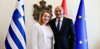 ministarka-paunovic-na-sastanku-sa-livanisom:-podrska-saradnji-lokalnih-samouprava-i-unapredjenju-prelaza-evzoni