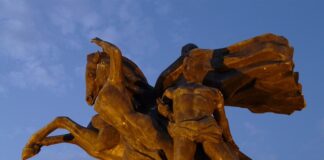 mustafa-se-vraca-na-marakanu:-navijaci-zvezde-ovo-bas-i-nisu-ocekivali