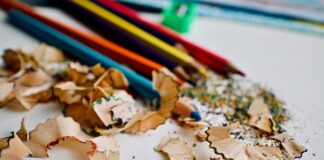 studenti:-ako-bude-izbora,-pobedicemo,-uskoro-kompletan-program-i-lista-profesionalaca
