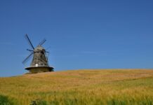 vojvodina-vratila-igraca-poniklog-u-njenim-redovima:-vladan-novevski-ponovo-na-„karadjordju“