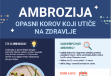 pokrenuta-aplikacija-ambtrack-za-prijavu-ambrozije-–-nedeljnik