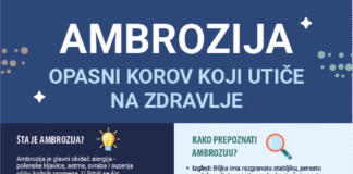 pokrenuta-aplikacija-ambtrack-za-prijavu-ambrozije-–-nedeljnik