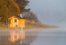 vila-sa-bezenom,-sauna-u-dvoristu,-palme…-ovo-je-luksuzna-nekretnina-bore-santane-(foto)