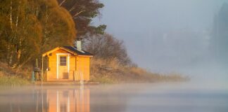 vila-sa-bezenom,-sauna-u-dvoristu,-palme…-ovo-je-luksuzna-nekretnina-bore-santane-(foto)