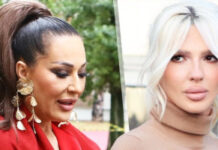 ove-pesme-jelena-karleusa-nije-zelela-da-snimi:-zavrsile-su-u-cecinim-rukama