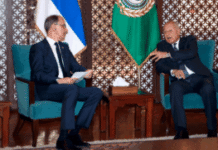 macut-razgovarao-sa-ministrom-spoljnih-poslova-egipta-abdelatijem-o-evakuaciji-srba-iz-izraela-–-nedeljnik