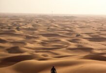 dubai-nastavio-rekonstrukciju:-cetvrti-centar-napustio-novog-evroligasa