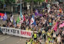 vratite-park-i-ponistavanje-izbora:-gradjanski-zborovi-porucili,-pionirski-park-je-nas,-a-sistem-se-rusi-–-nedeljnik