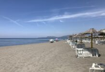 „bojana-stamenov-gaji-kokoske-u-subotici“:-predstavljala-srbiju-na-„evroviziji“,-a-danas-je-niko-ne-zove-da-peva