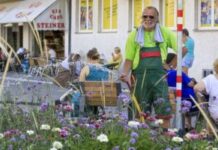 cvetna-iznenadjenja-po-citavom-becu-–-nedeljnik